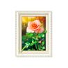 Buy cheap Large Format Lenticular Photo Printing 0.6mm PET+157g Coated Paper Material from wholesalers
