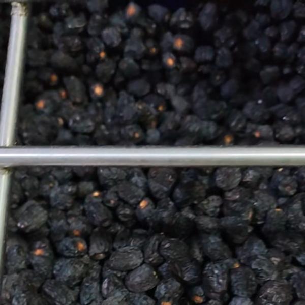 Quality High-capacity Dates Sorting Machine, Deep Learning, 6 lanes+10 outlets, 1.8 Tons per hour, High Efficiency for sale