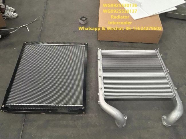 Radiator 712W06100-0005 HOWO Truck Parts Intercooler WG9925530136 WG9925530137 Water Tank