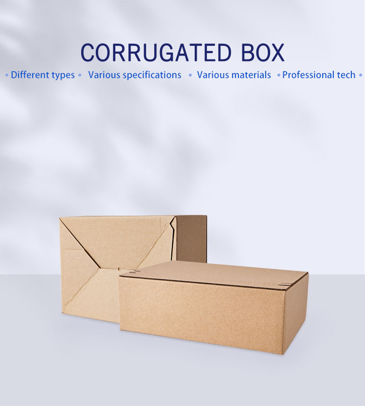 Biodegradable Paper Corrugated Cardboard Gift Box Bulk Packaging
