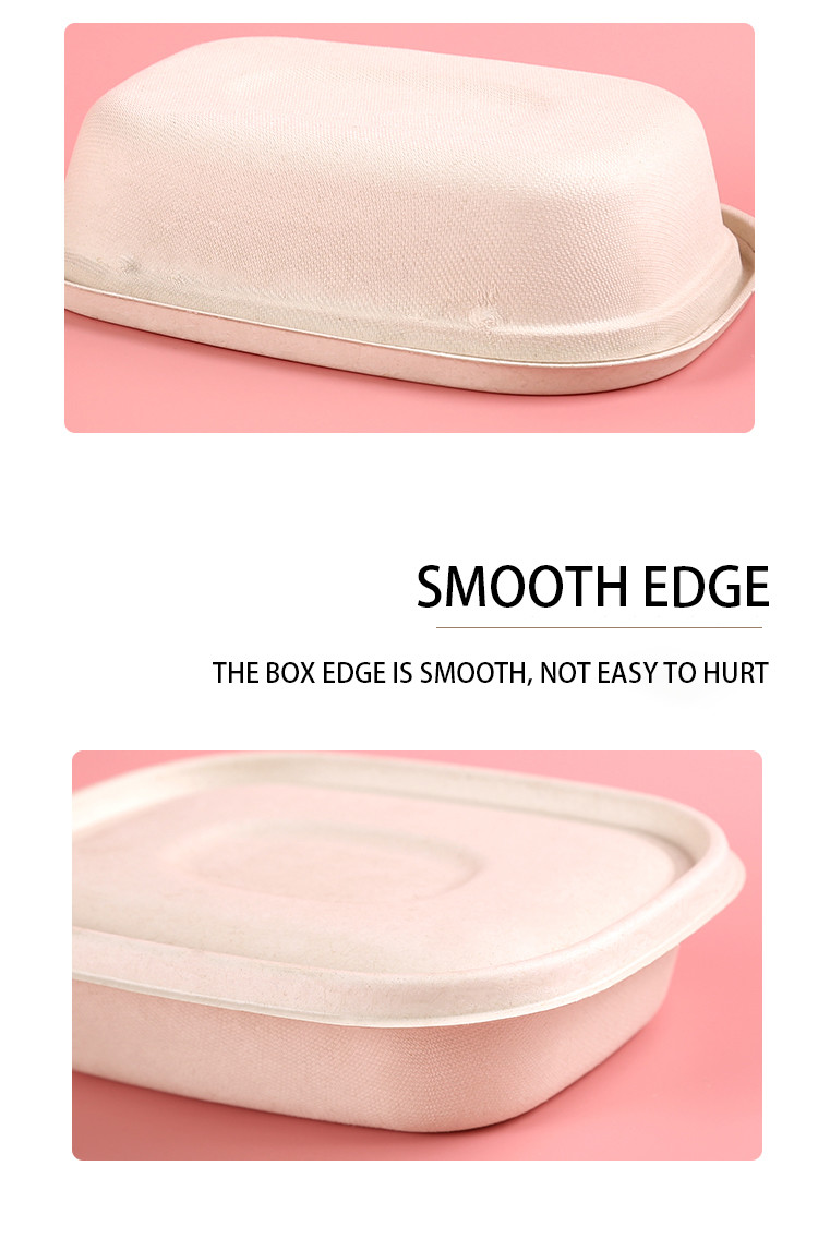 Disposable Party Dinnerware Take Away Salad Box 850ml 1100ml 1300ml Sugarcane Bagasse Pulp Box Packaging