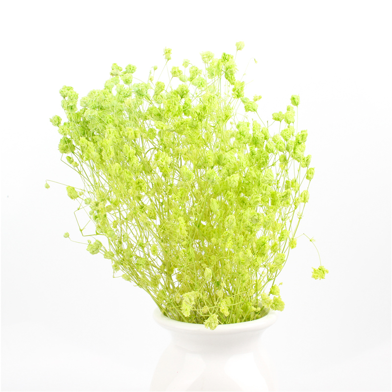 Multicolor Beautiful Dried Flowers Baby'S Breath Wedding Table Decorations