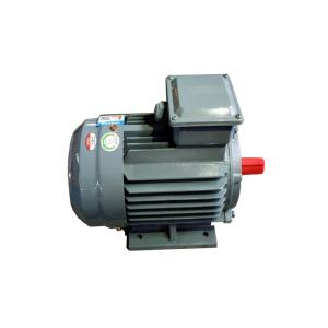 0.55kw 75kw 3 Phase Ac Induction Motor , High Speed Asynchronous Motor