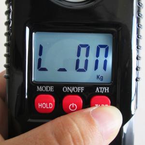 Mini Digital Crane Scale 300 KG Industrial Hook Weighing Scale with LCD/LED