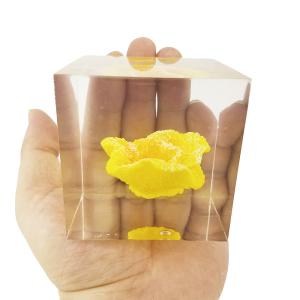 China custom cube brick resin paper weight with inclusion embeddings on sale