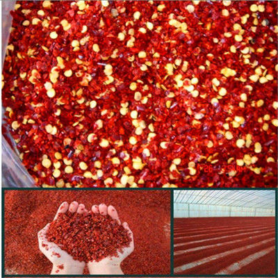 Tientsin Crushed Chilli Peppers Stemless Dried Chile Flakes Pulverized