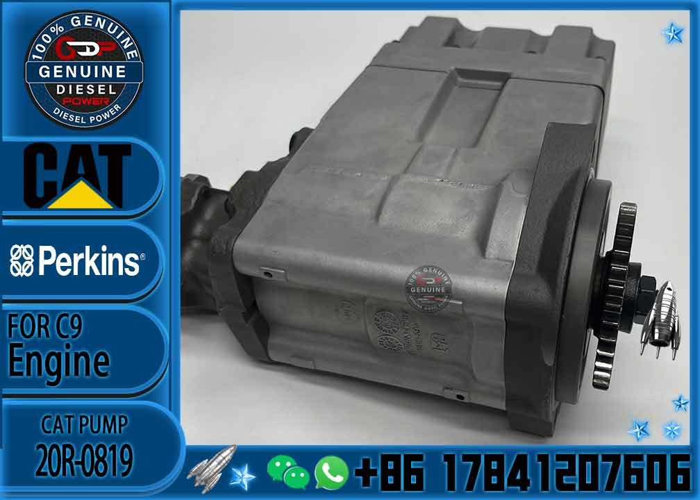 Common Rail Injection Pump 319-0678 304-0678 Fuel Pump 312-0678 10R-7148 10R-8900