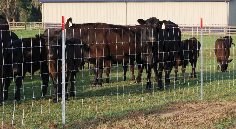 Heavy Duty Electro Galvanized Field Fence Weave Deer Fence High Tensile Cattle Fence For Animal Enclosure