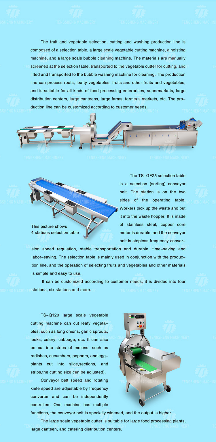 165MM Belt Industrial Vegetable Processing Machine Fruit Selection Washing Cutting Machine