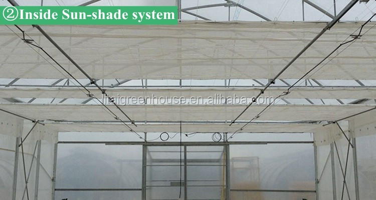Film Covered Greenhouse for Agriculture in Namibia Affordable and Customizable Height