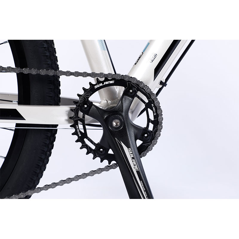 Double Wall Rim Hl Mountain Bike With Front And Rear Wheel Disc Brake