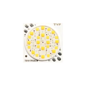  58W Dimming and Tunable Cob LED TB9-1917-RGBCW Manufactures