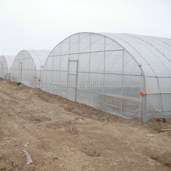 Ventilation Vents for 150/200micro PE Film Covered Greenhouse on Poultry Farm
