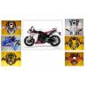 Buy cheap YAMAHA YZF-R1 2009 MOTORCYCLE PARTS Hub Motorcycle Parts with Plastic frame from wholesalers