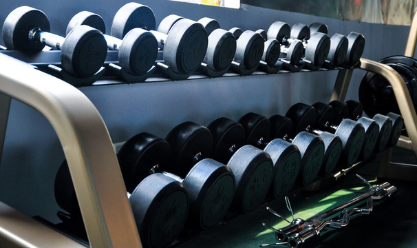 Custom Multi Function Gym Machine With Steel Dumbbell Rack