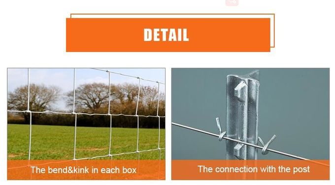 Rustproof 6ft Height Hinge Joint Field Fence With Galvanized Wire
