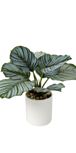 faux plant