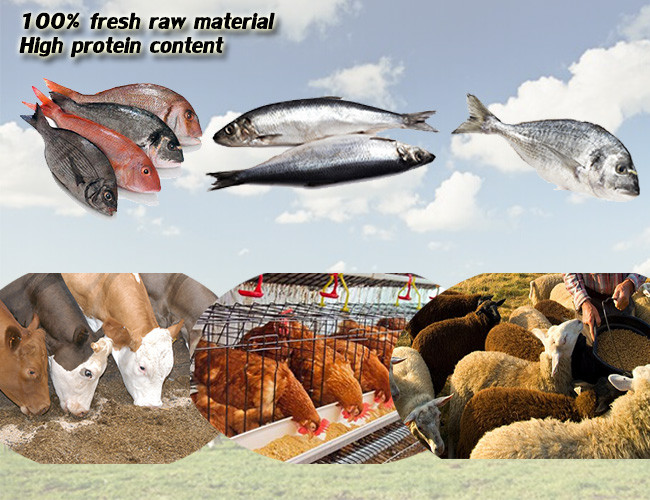 Natural Fish Meal Fertiliser Improve Animal Disease Resistance Ability