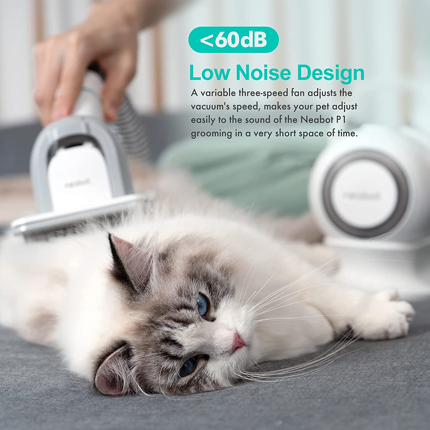Grooming Tools Pet Hair Professional Grooming Vacuum with 5 Tools and 1.3m Power Cord