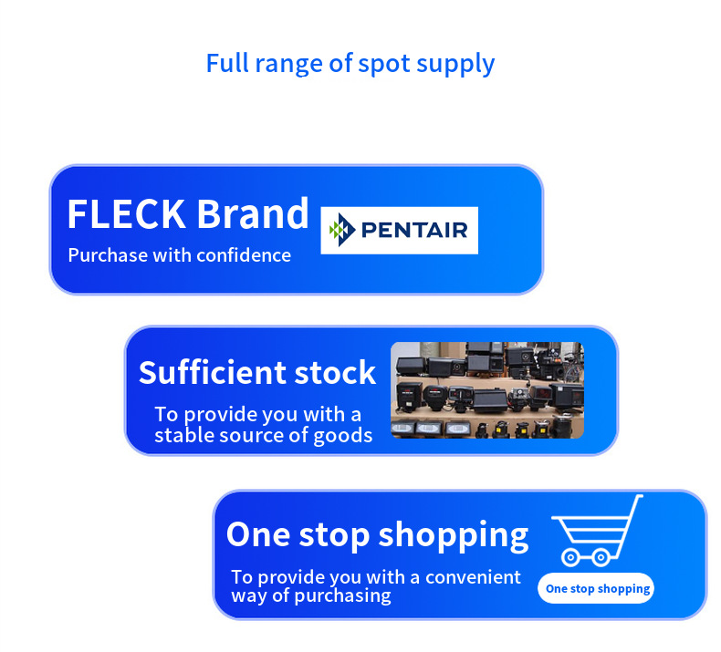 Fleck Valve 