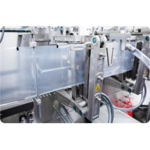 DXD-180D Automatic Horizontal Pouch Packing Machine