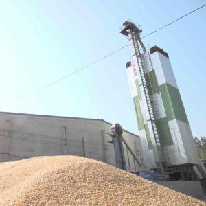  Easy to Clean and Maintain Corn Drying with Adjustable Airflow System Manufactures