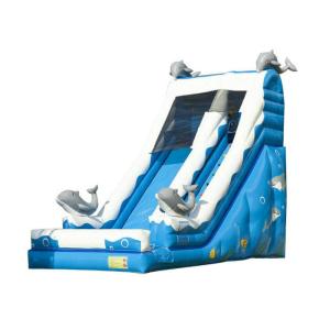 Blue Dolphin Toddler Inflatable Slide , Commercial Inflatable Water Slides