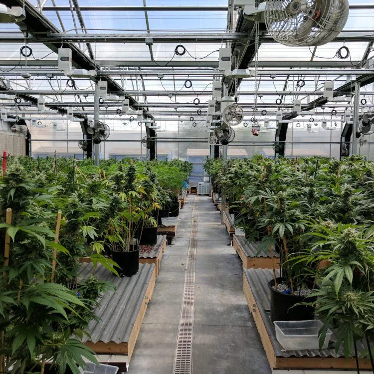 100% Shading PE Automatic Blackout Greenhouse Light Dep For Herb Growing