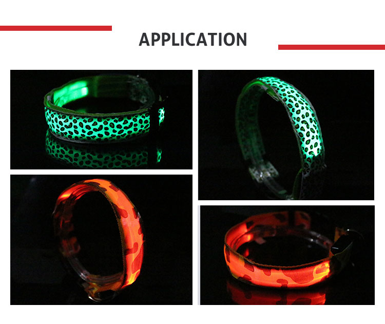 Light Up LED Dog Collar , Luminous Flashing Dog Collars For Small Dogs