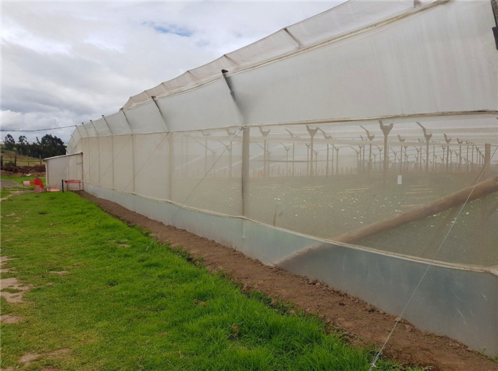 100% Pure HDPE 50 Mesh 125gsm Insect Mesh Netting Agriculture Insect Proof Screen
