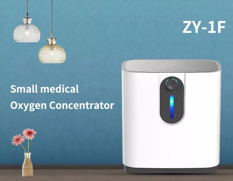 Home Use 1 Liter Rapid Oxygen Breathing Machine For Sleeping 6kgs