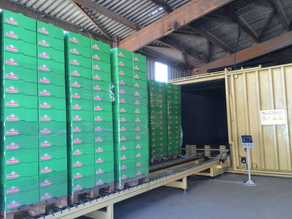 Cauliflower/Cabbage/ Edible Fungi Preservation Vacuum Coolers Full Automatic PLC