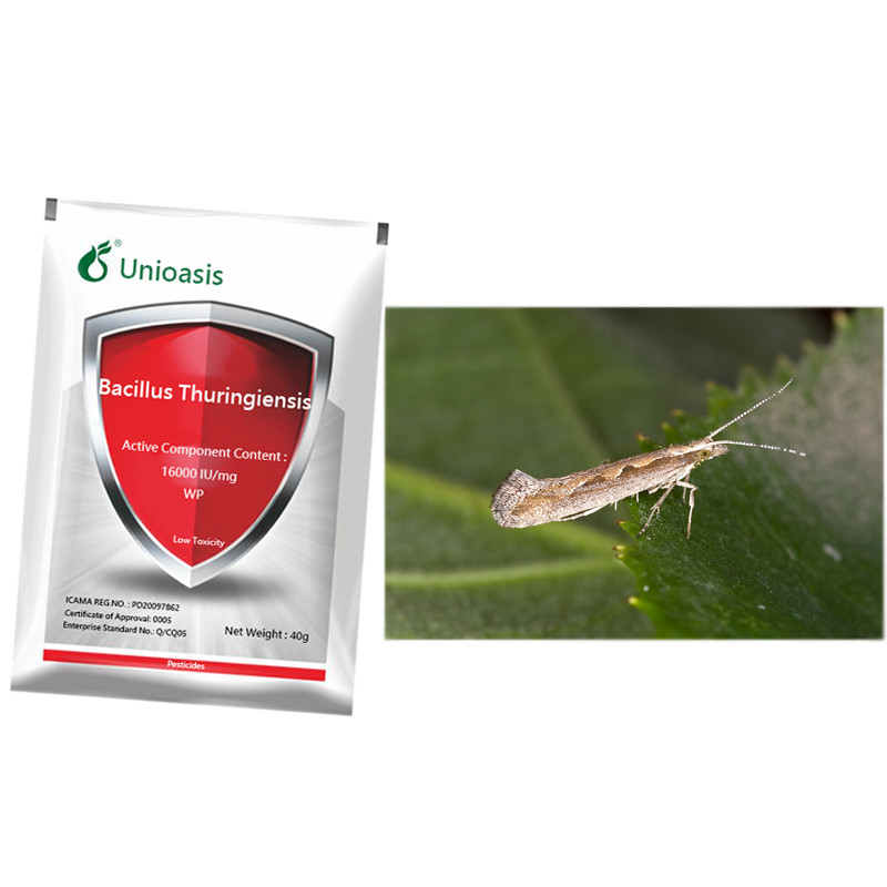 Bacillus Thuringiensis WP Bt Cotton Crop Pesticide For Chilli Crop