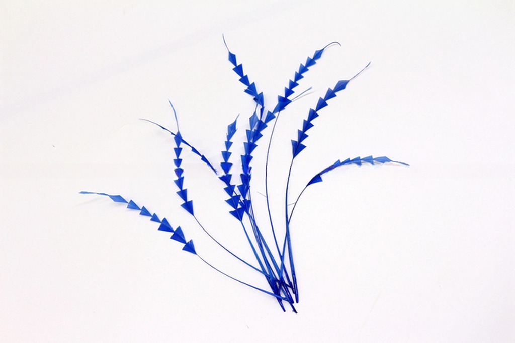 Dyed Stripped Rooster Coque Feathers with Fast Shipping via DHL UPS FEDEX EMS TNT