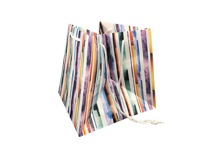 Elegant Foldable Printed Promotional Paper Bags Customized Logo Printing