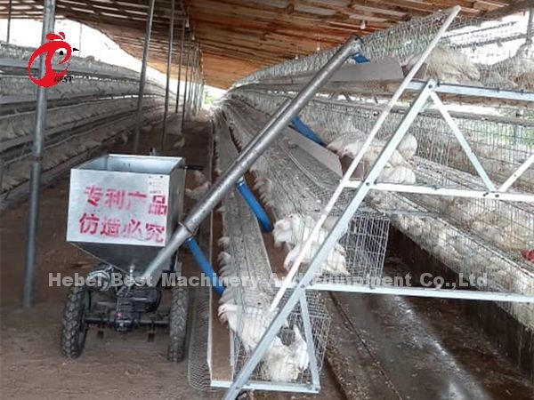 Automatic Chicken Feeding Cart For Cage Chicken Farm Iris