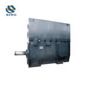 High Quality 6000V High Voltage High Power Asynchronous AC Electric Motor