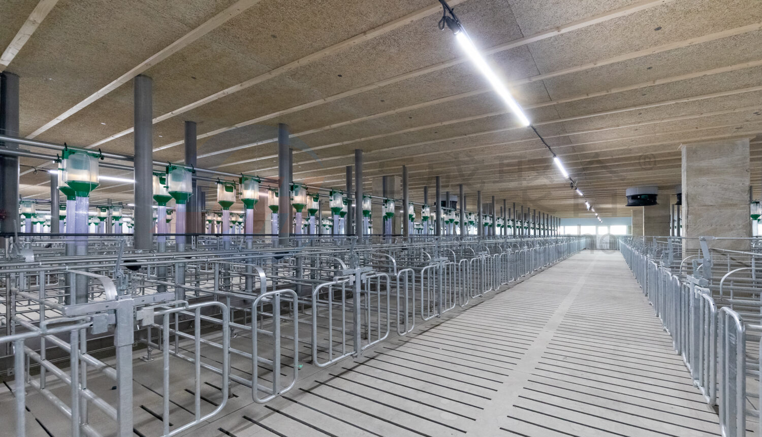 High Tolerance Pig Farrowing Crates for Customized Agricultural Livestock Equipment