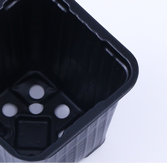 Customized square vacuum formed black PP PS plastic plant planting pot basin transplanting garden maintenance tray