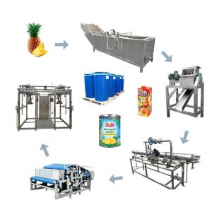 PLC PET Bottle 600T/D Pineapple Juice Processing Line