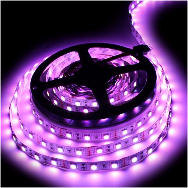 Free sample 12v 5050 flexible led strip sets for decoration
