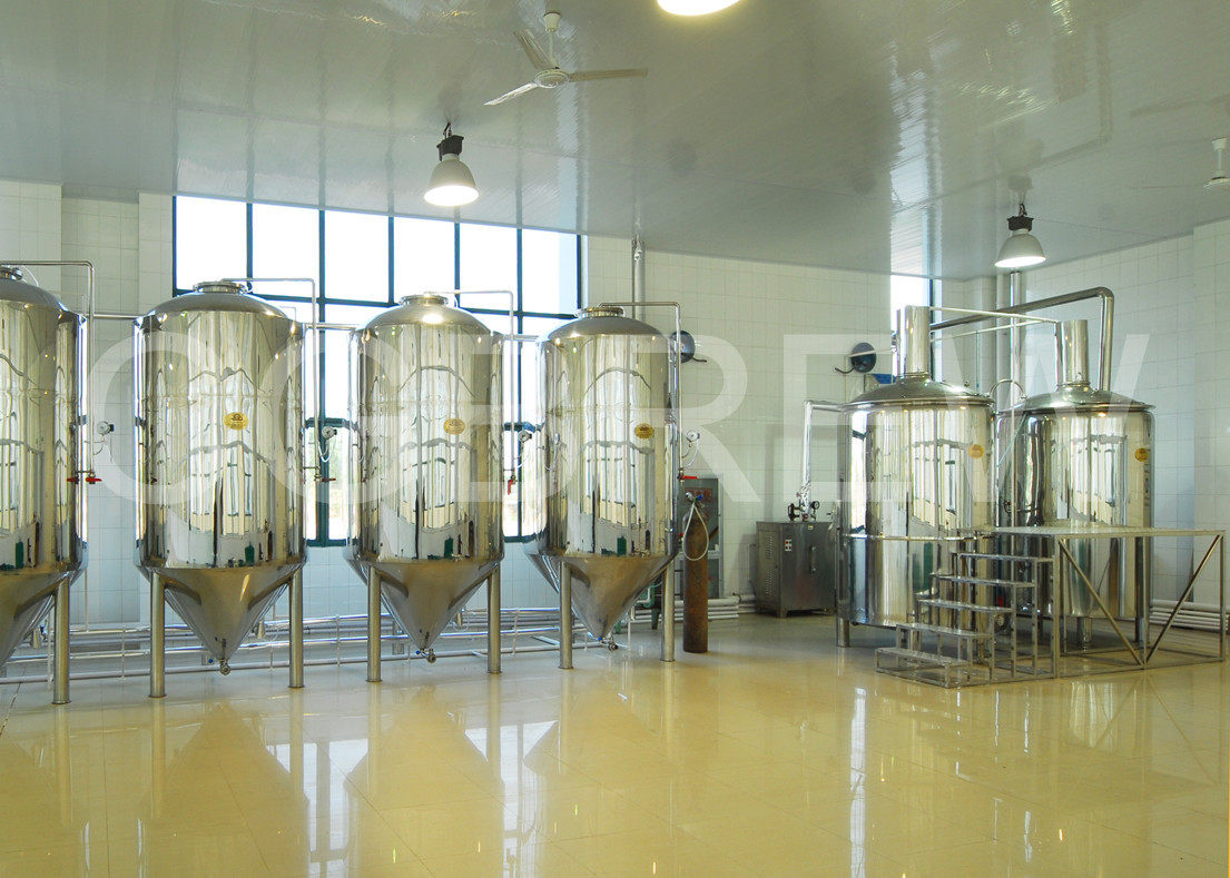 500L Mini beer brewing equipment with electricity heating source brewpub or restaurant