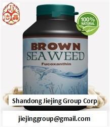 China natural brown seaweed wakame extract fucoxanthin 1%, 5%, 10% 20% powder ingredients on sale