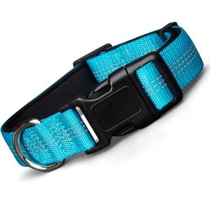 Adjustable Soft Neoprene Padded Dog Collar Keeps Dogs Safe and Stylish