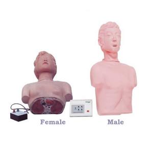  Medical Science Human Half Body Simulation CPR Manikin For Medical Training Manufactures
