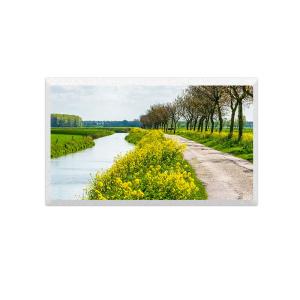 TM070RDHG34 TIANMA 7.0Inch Industrial Tft Lcd Module 800x480 Dots 50 Pins RGB