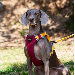 Adjustable Reflective Oxford Large Dog Harness Leash Set With Easy Control