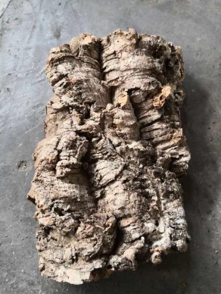 Factory Wholesale 3~4cm thickness Virgin Cork Bark Perfect for Dispalying Air