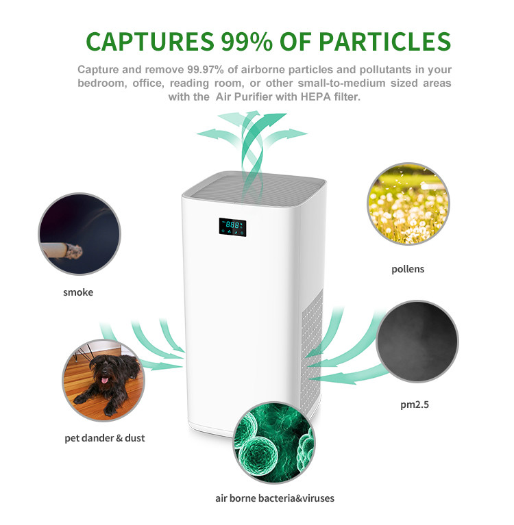 Anion UV HEPA Air Purifier
