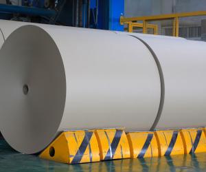 China Paper Company Limited